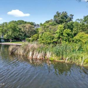 Along the Water's Edge