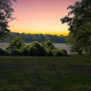 For You, Wanting the Best!