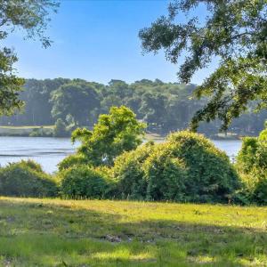 This could be your Backyard