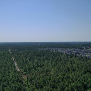 overview