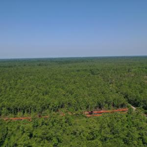 plantation rd