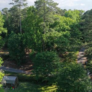 Hillside and Camella-1