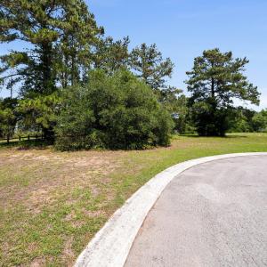 3-web-or-mls-DSC_4211