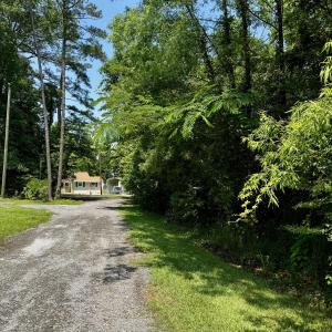 lightly wooded