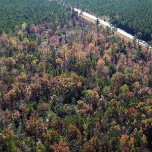 calf creek, tracts i, 2, 1490 pxlw