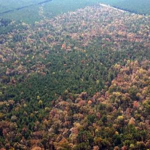 Calf Creek Preserve, Tracts I J K