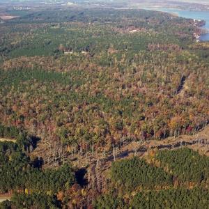 Calf Creek Preserve, Tracts L M N Q R S