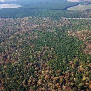 calf_creek_preserve_tracts_i_j_k_l_o