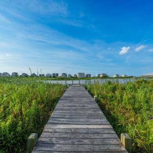 15SailviewUNabeled17