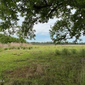 thumbnail_IMG_0885