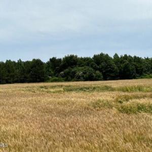 thumbnail_IMG_0904