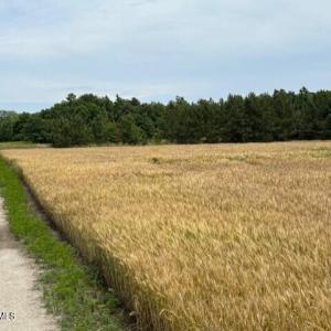 thumbnail_IMG_0905