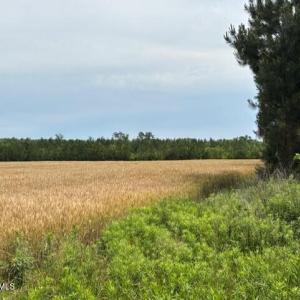 thumbnail_IMG_0909