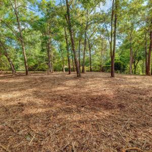 813GullPointRoadMarsh-3