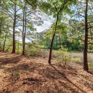 813GullPointRoadMarsh-4