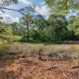 813GullPointRoadMarsh-5