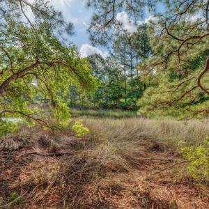 813GullPointRoadMarsh-7