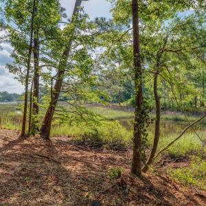 813GullPointRoadMarsh-8
