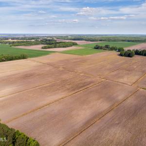 DJI_0880-2