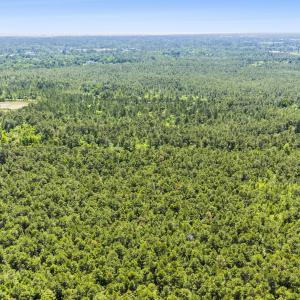 mls-DJI_20250501132009_0055_D