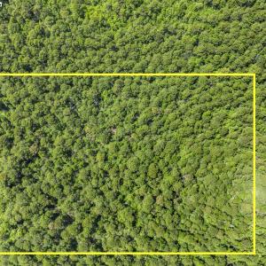 mls-DJI_20250501131619_0049_D_1