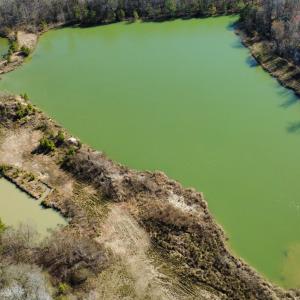 dji_fly_20250218_111134_148_173990054712
