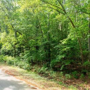 0PonyDr-PikevilleNC-6 (1)
