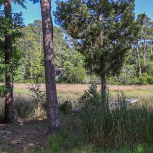 2933 Island Dr SE - Bolivia-4