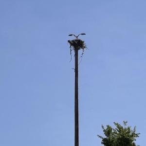 IMG_6214