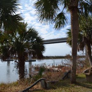 Sea Trail (27) - Copy - Copy