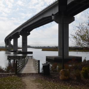 Sea Trail (18) - Copy - Copy