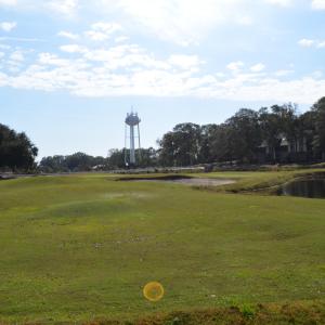 Sea Trail (43) - Copy