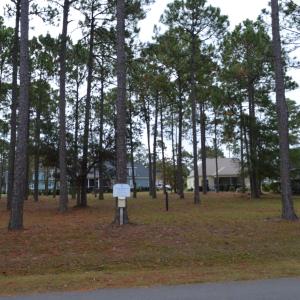 Sea Trail (12) - Copy - Copy