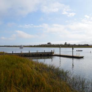 Sea Trail (19) - Copy - Copy