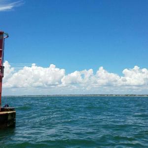 LF inlet marker