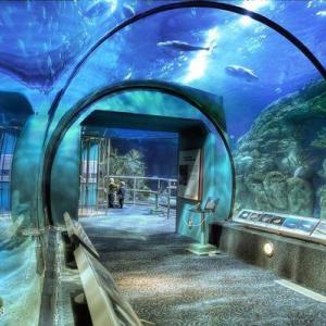 Myrtle Beach Aquarium