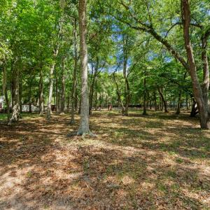 1312 Harbour Watch Lot 9