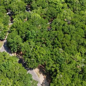 1312 Harbour Watch Lot 4