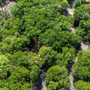 1312 Harbour Watch Lot 5