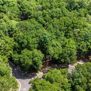 1312 Harbour Watch Lot 3