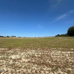 Back of lot looking towards front