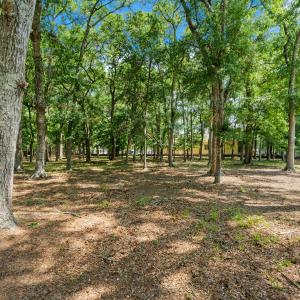 1314 Harbour Watch Lot 13
