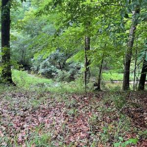 CREEK FEEDING HAMMOND CREEK
