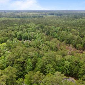 3-web-or-mls-DJI_0045