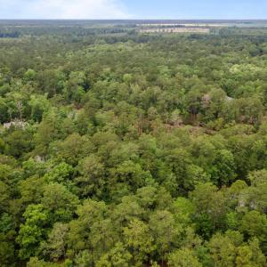 5-web-or-mls-DJI_0047