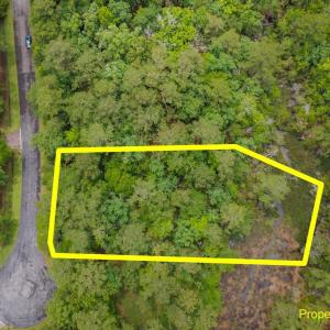 12-web-or-mls-DJI_0053_1