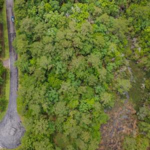 10-web-or-mls-DJI_0053