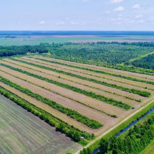 DJI_0085
