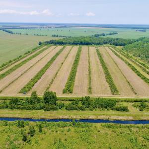 DJI_0086 (1)