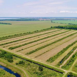 DJI_0087 (1)